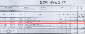 당화혈색소-검사-진료비-세부산정내역