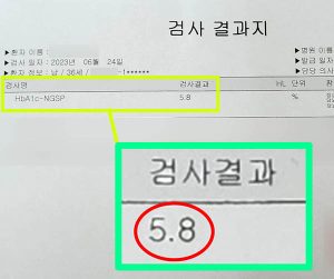 당화혈색소-5.8